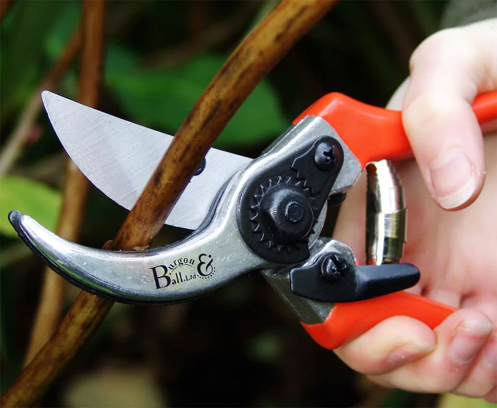 undefined image
