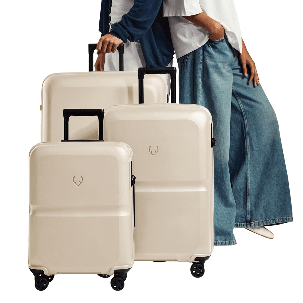 Single Stripe Cabin Suitcase
