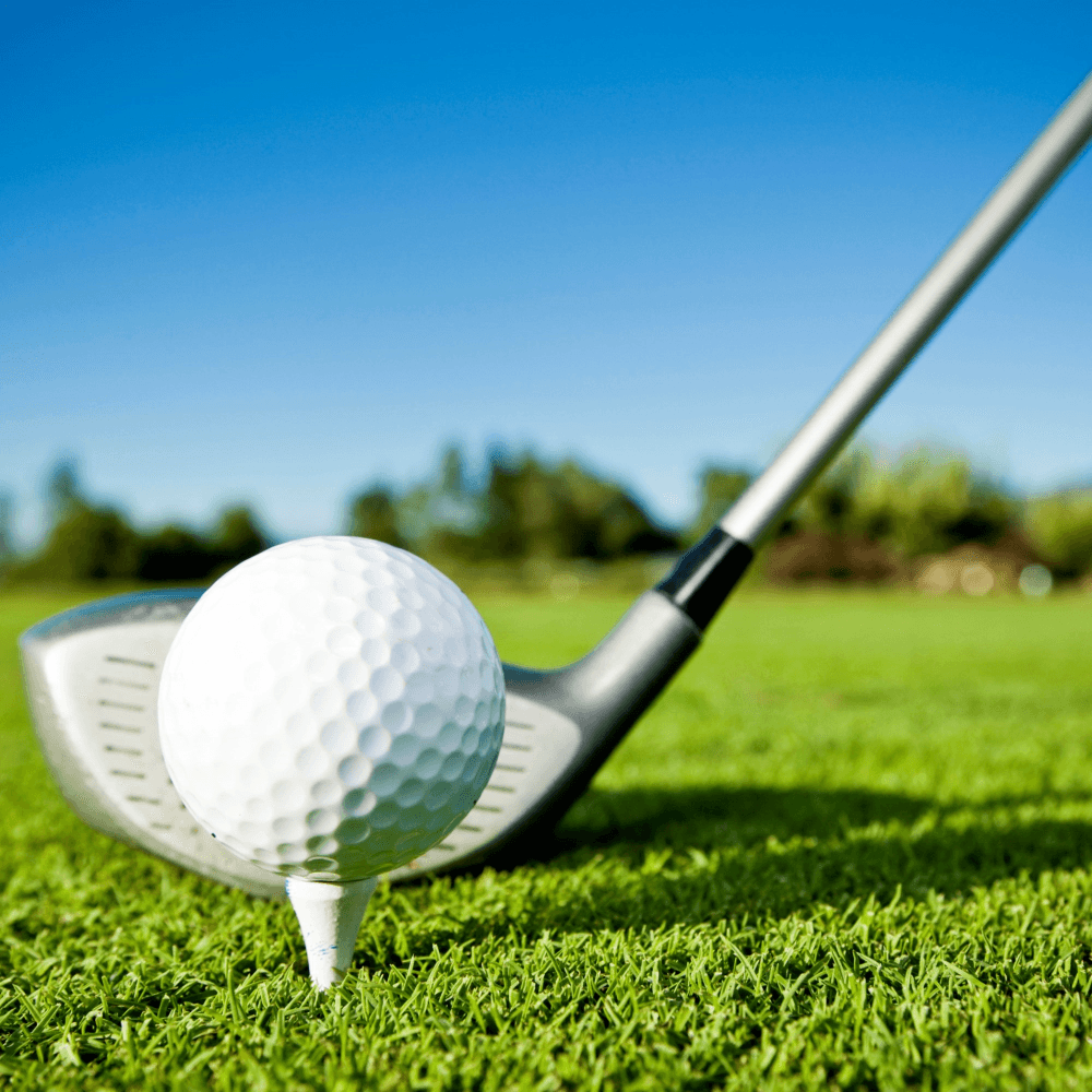 Day at the golf course for two
