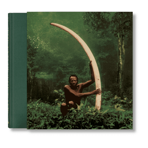 Image showing the Peter Beard: The End of the Game product.