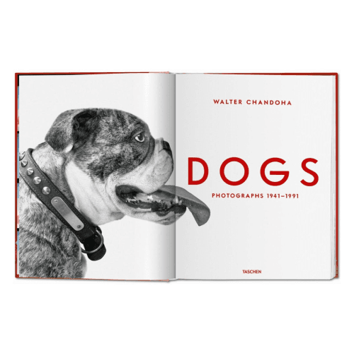 Image showing the Walter Chandoha: Dogs, Photographs 1941-1991 product.