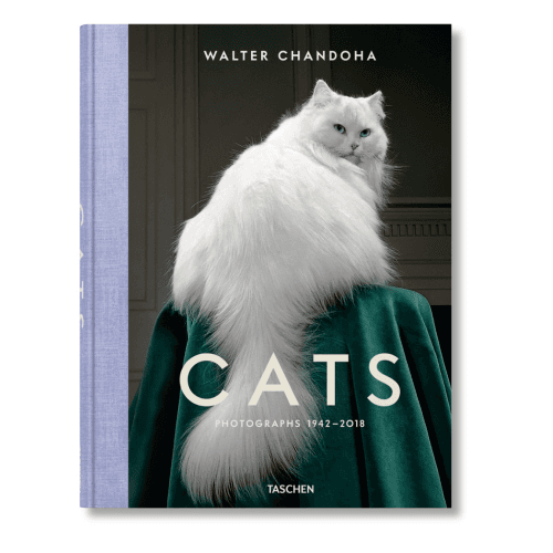 Image showing the Walter Chandoha: Cats, Photographs 1942-2018 product.