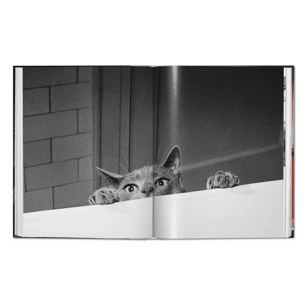 Walter Chandoha: Cats, Photographs 1942-2018