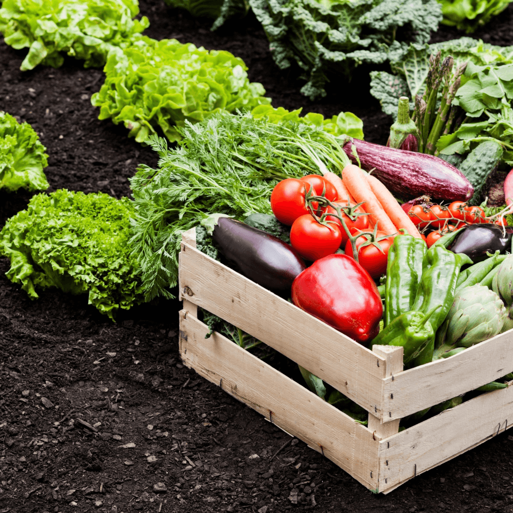 Vegetable garden fund
