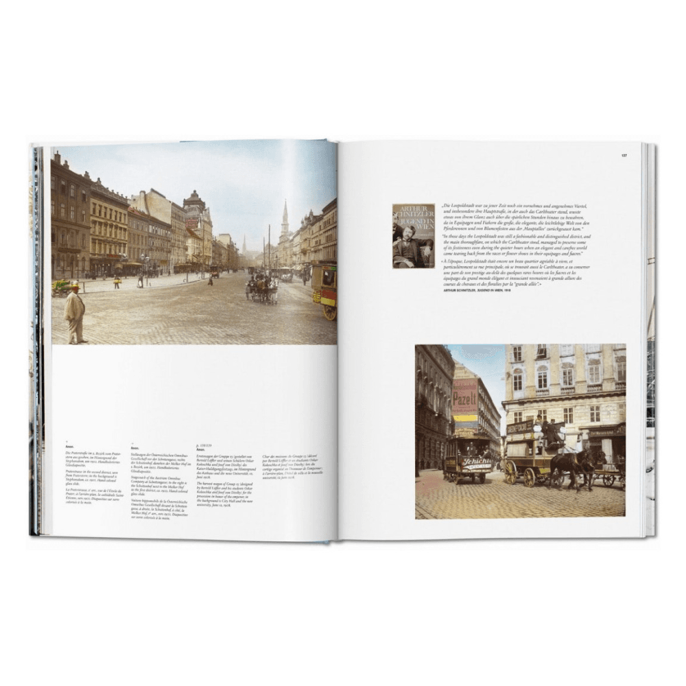 Vienna: Portrait of a City