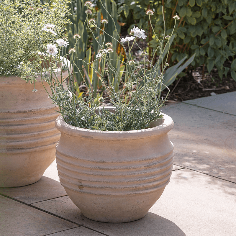 Ullu Planter
