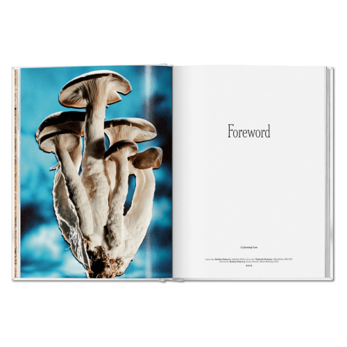 Image showing the The Gourmand's Mushroom: A Collection of Stories & Recipes product.