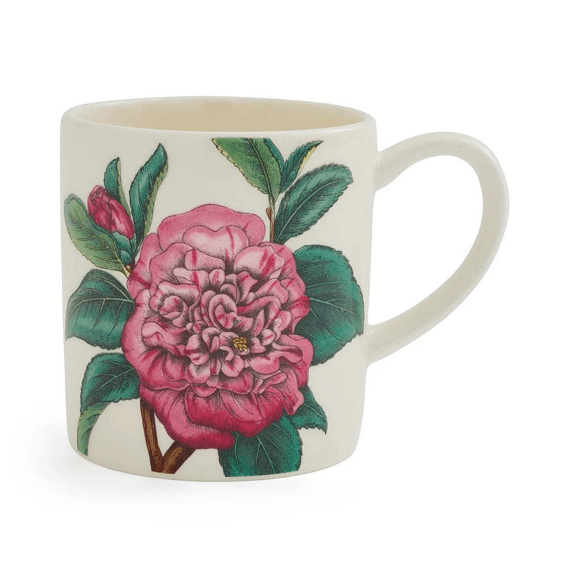 Botanic Garden Bloom Set of 6 Espresso Mugs, Multi