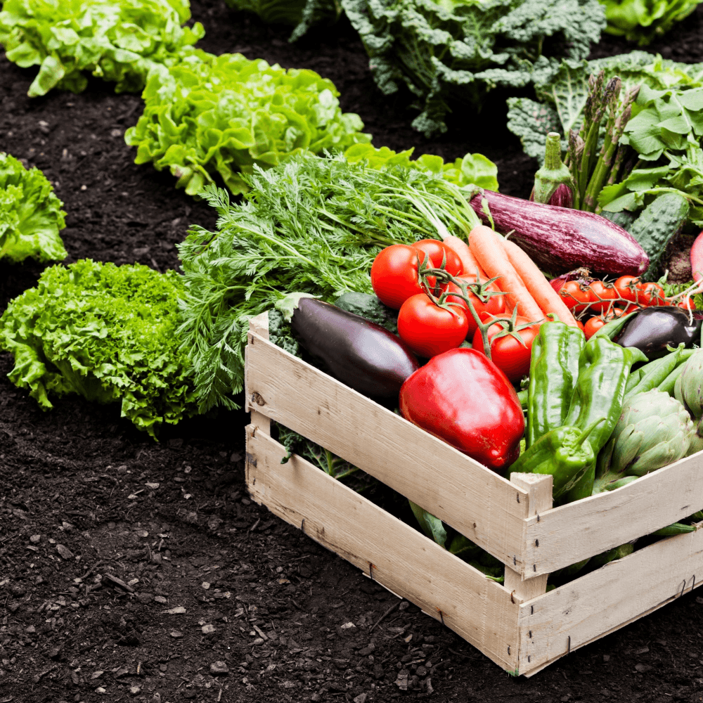 Vegetable garden fund