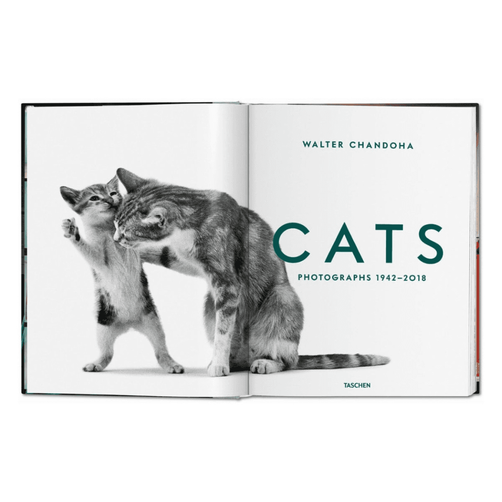 Walter Chandoha: Cats, Photographs 1942-2018