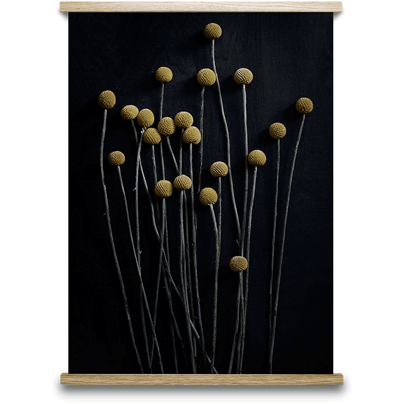 Still Life 01 Art Print
