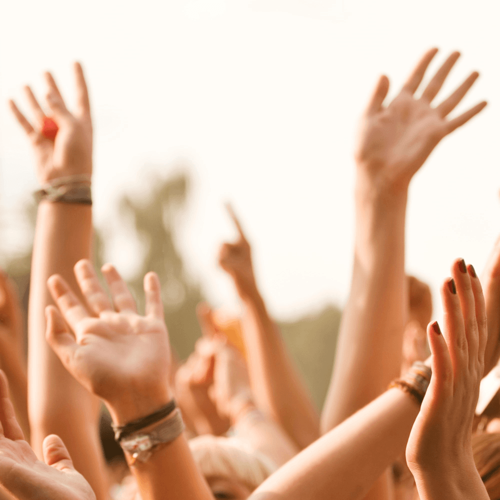 Music festival tickets fund