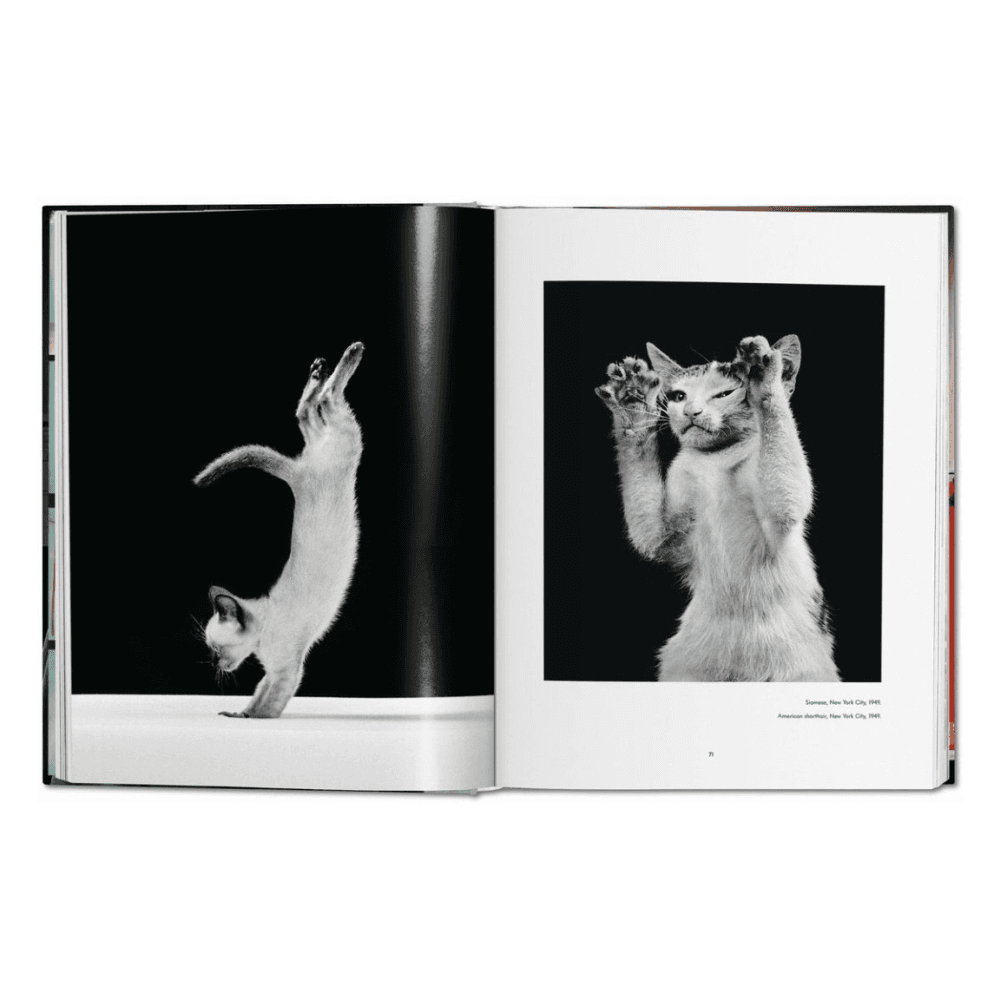 Walter Chandoha: Cats, Photographs 1942-2018