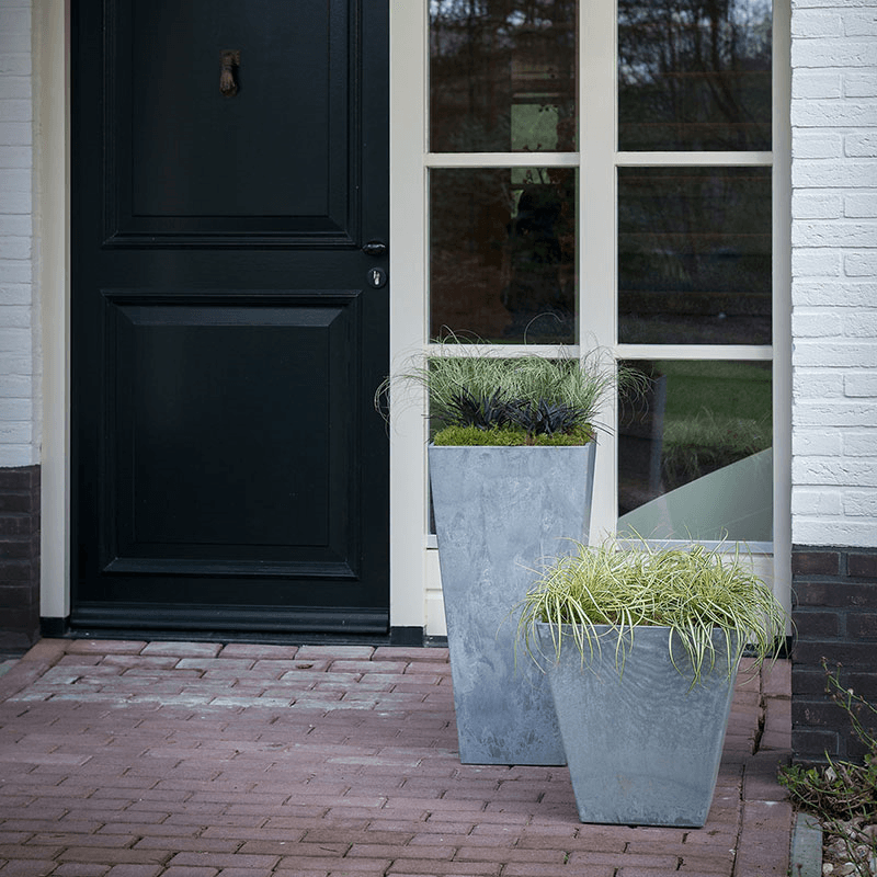 Ella Pot