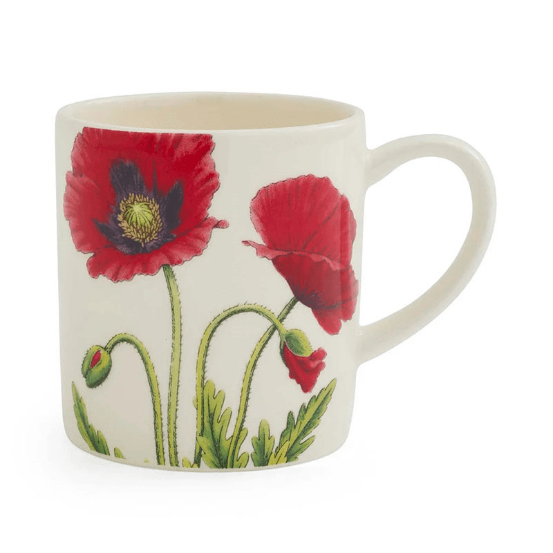 Botanic Garden Bloom Set of 6 Espresso Mugs, Multi