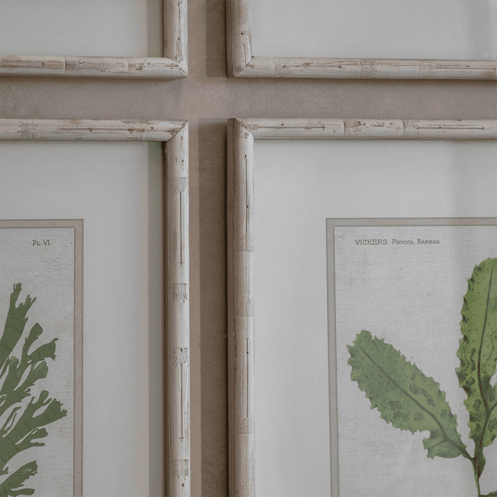 Ormington Set of 6 Aloe and Algae Framed Prints, Shades of Green
