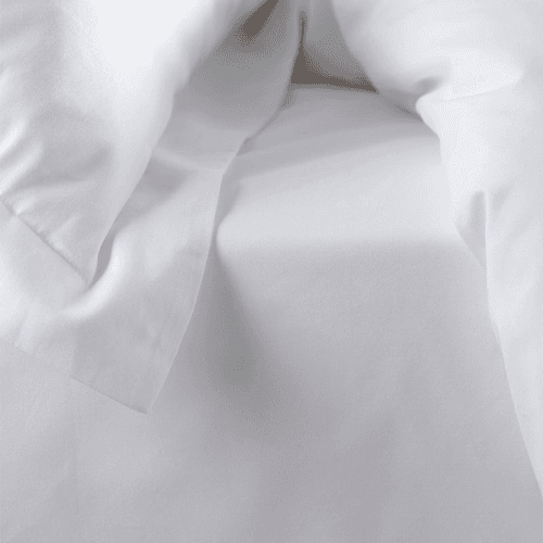Image showing the Petworth Cotton Fitted Sheet, White product.