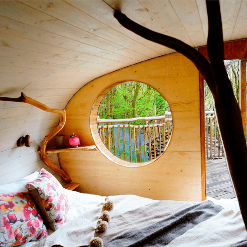 Image showing the Two Night Treehouse Experience for Two product.