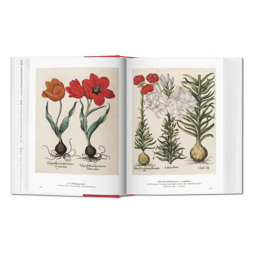 A Garden Eden: Masterpieces of Botanical Illustration