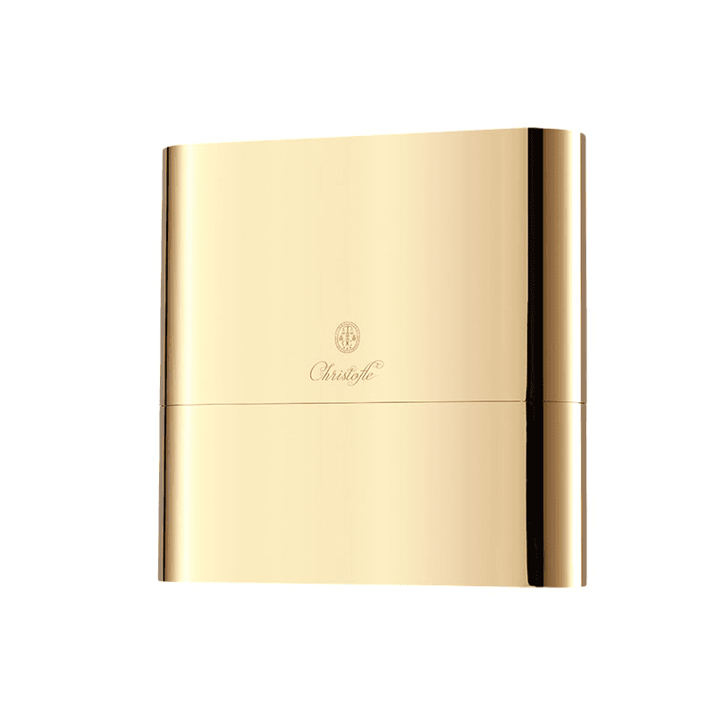 Concorde Cutlery Set with Case