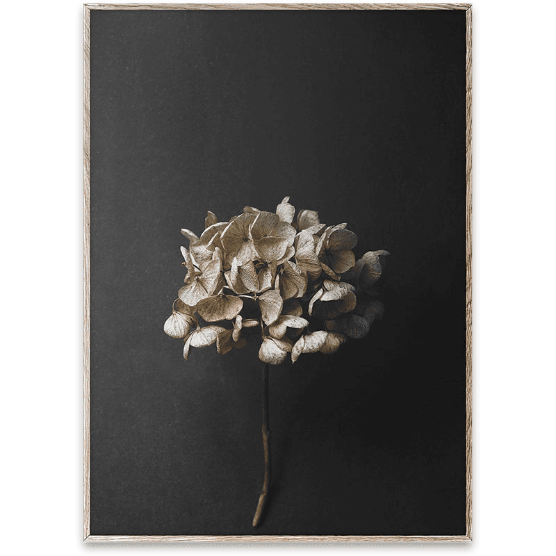Still Life 04 Art Print