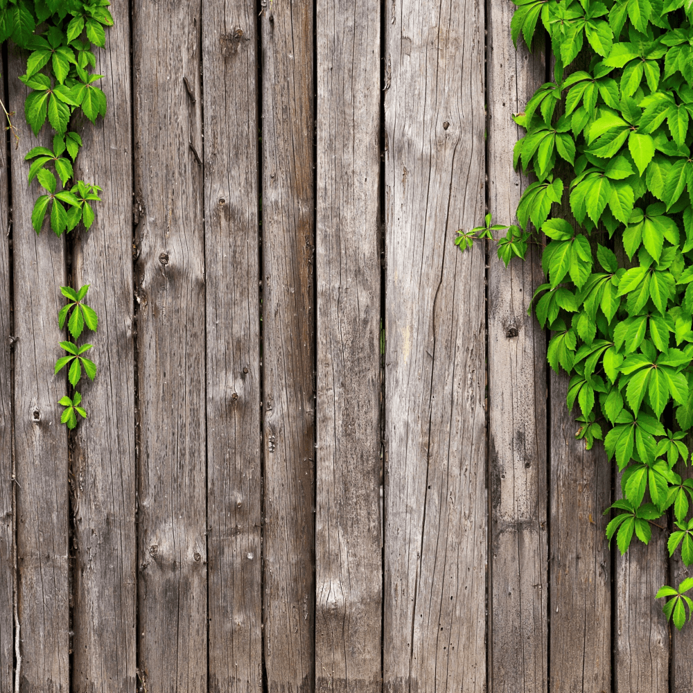Garden fencing fund