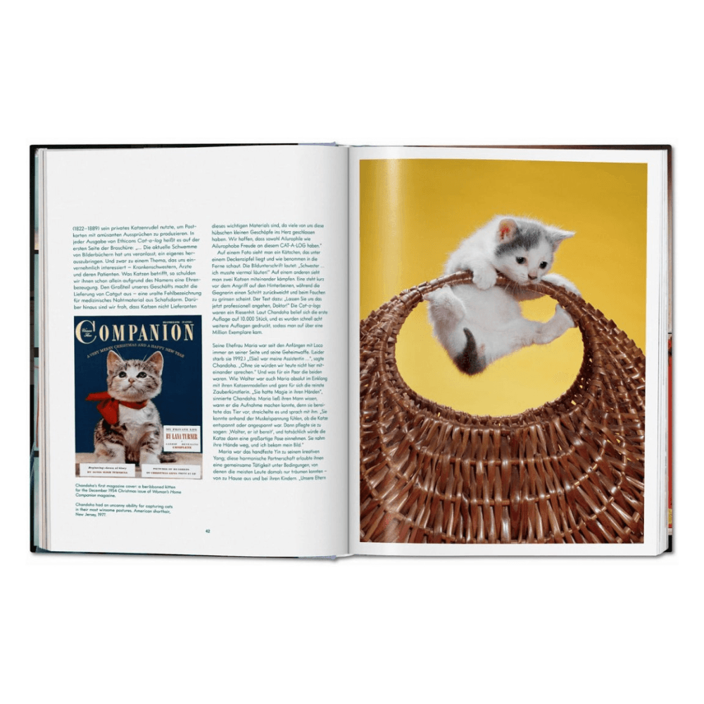 Walter Chandoha: Cats, Photographs 1942-2018