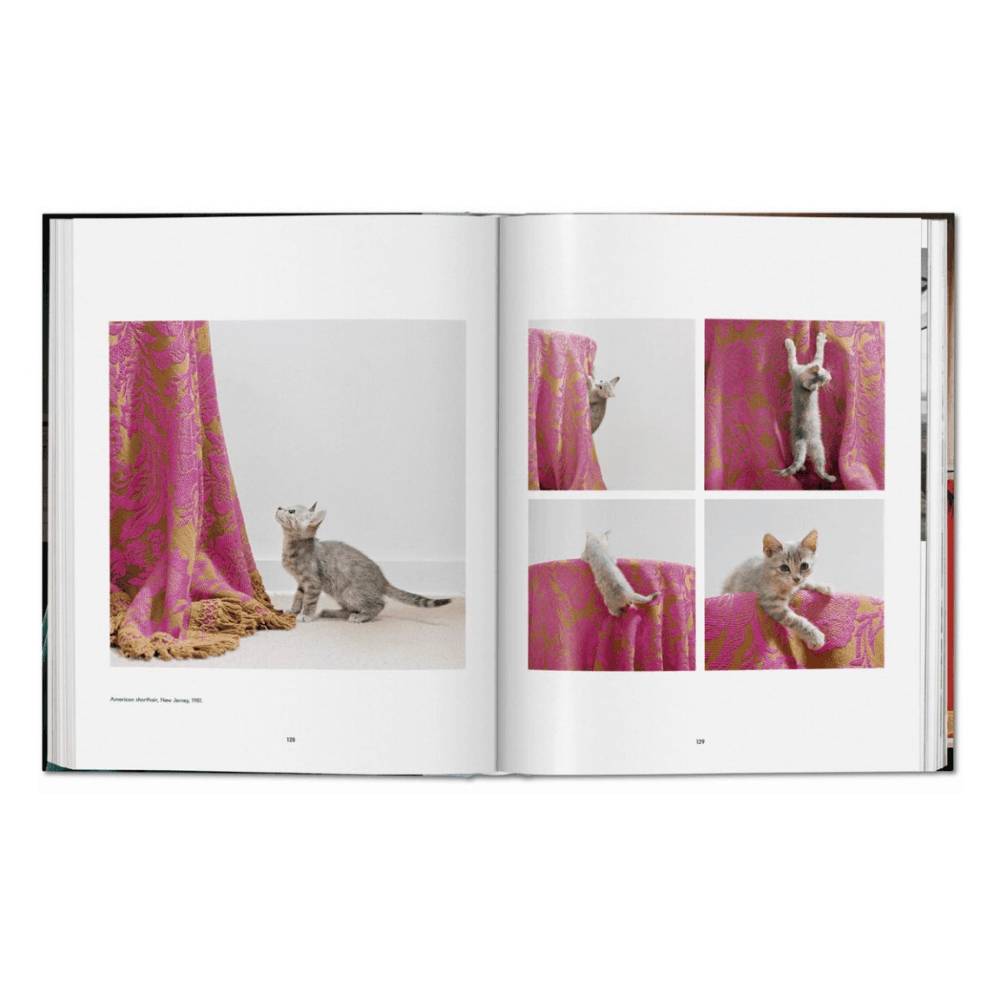 Walter Chandoha: Cats, Photographs 1942-2018