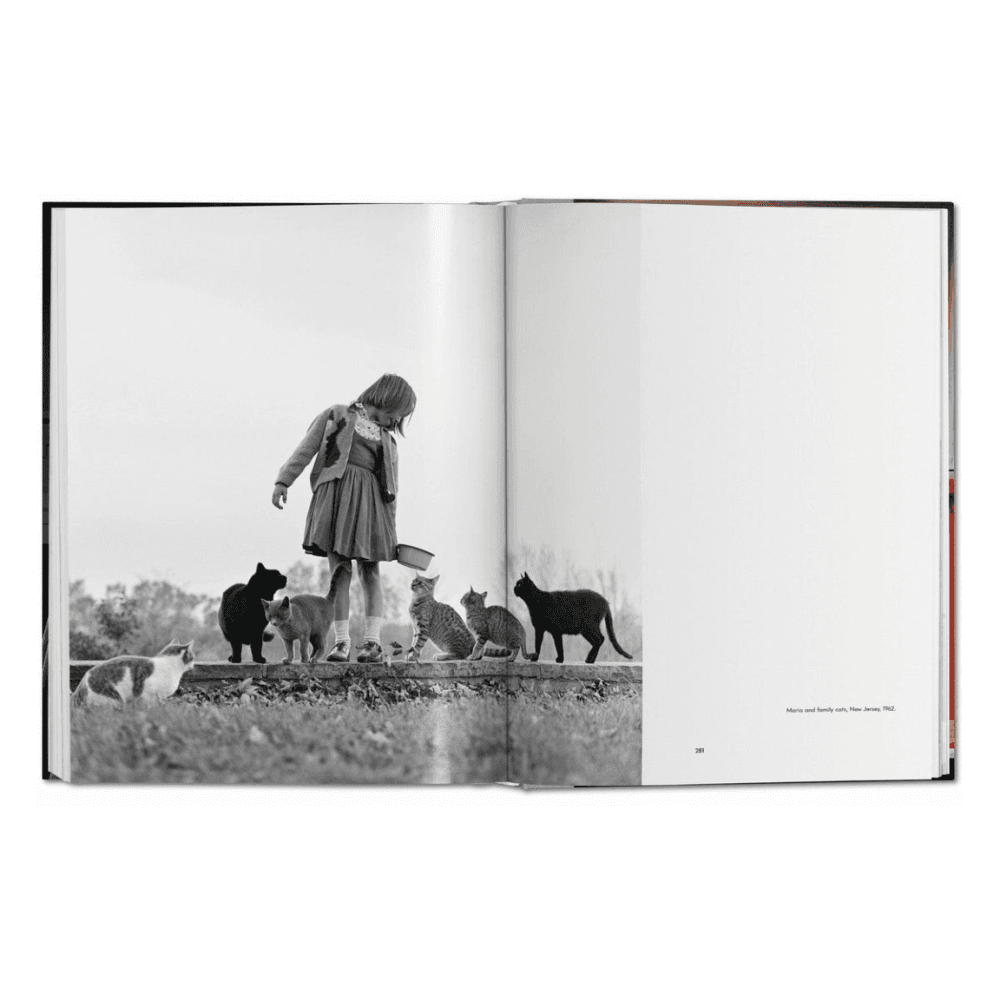 Walter Chandoha: Cats, Photographs 1942-2018