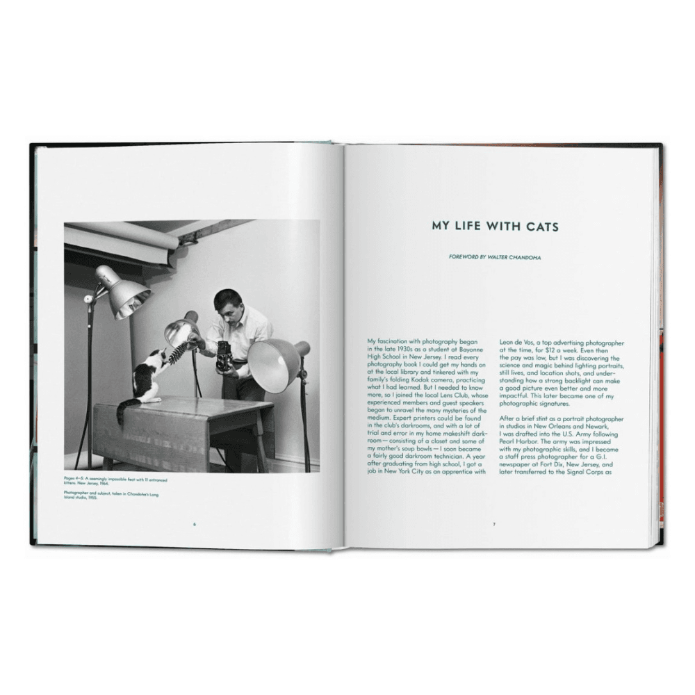 Walter Chandoha: Cats, Photographs 1942-2018