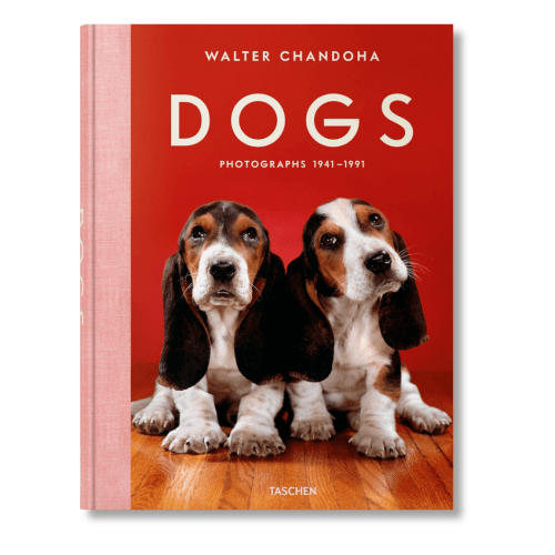 Image showing the Walter Chandoha: Dogs, Photographs 1941-1991 product.