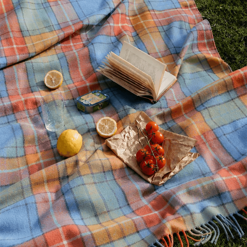 Water Resistant Recycled Wool Picnic Blanket With Taupe Leather Strap, Buchanan Antique Tartan