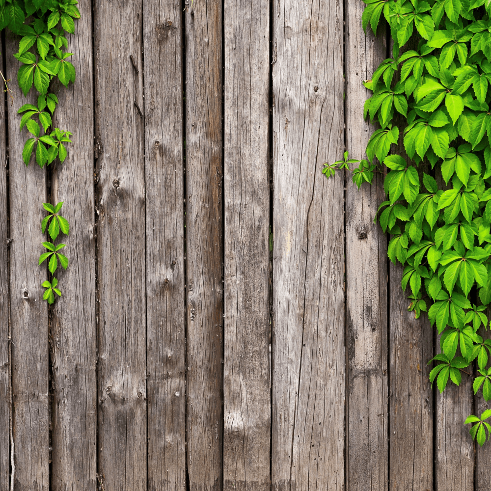 Garden fencing fund