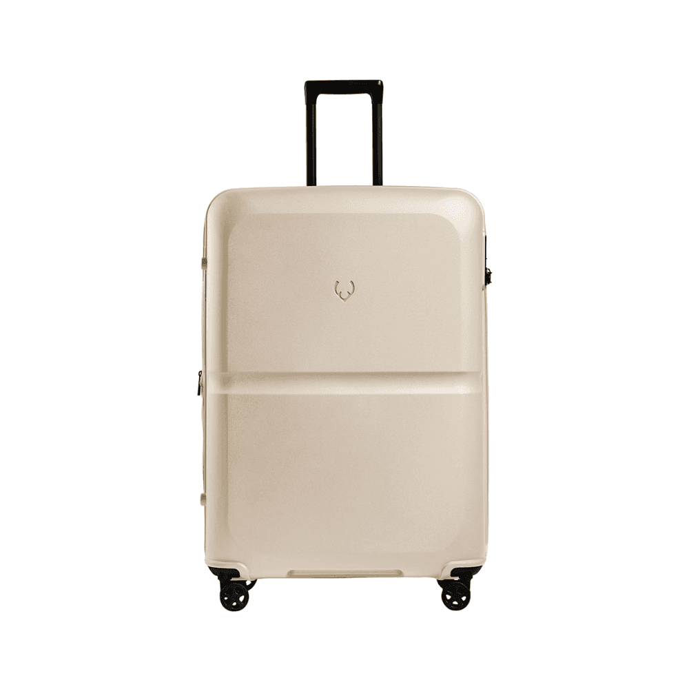 Single Stripe Expandable Suitcase