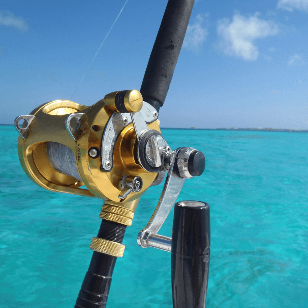 Sea fishing for two