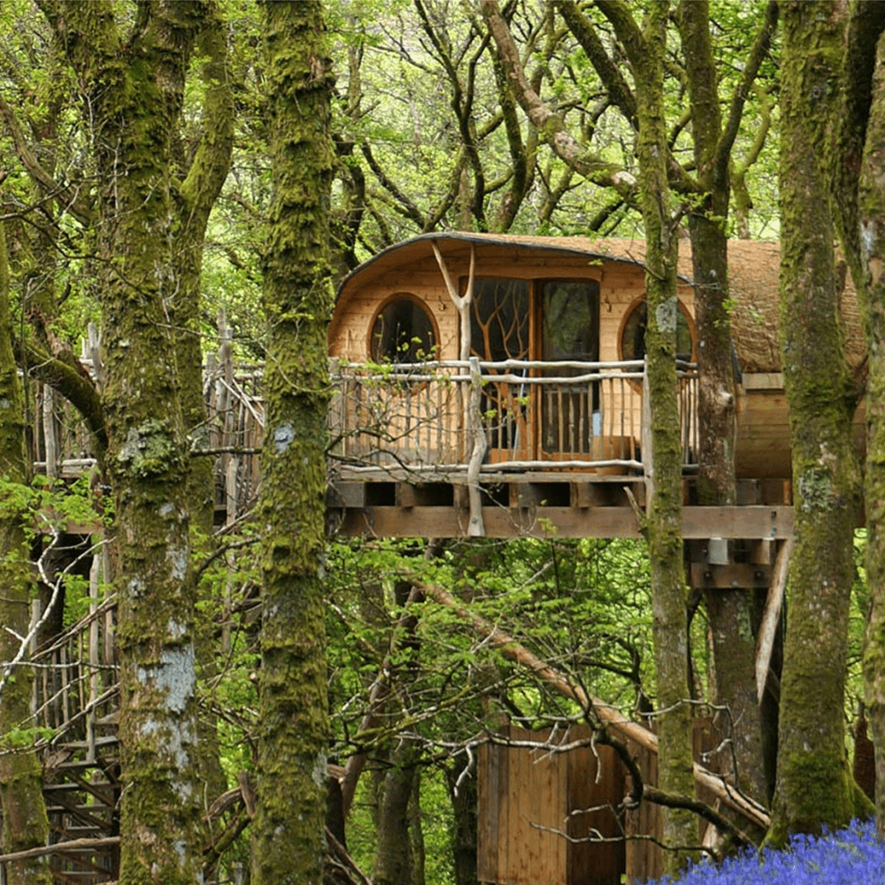 Two Night Treehouse Experience for Two
