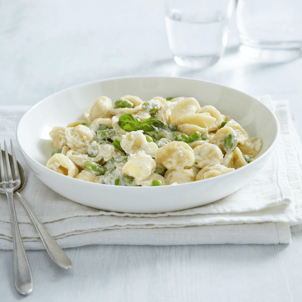 Symons Pasta bowl, White Bone China