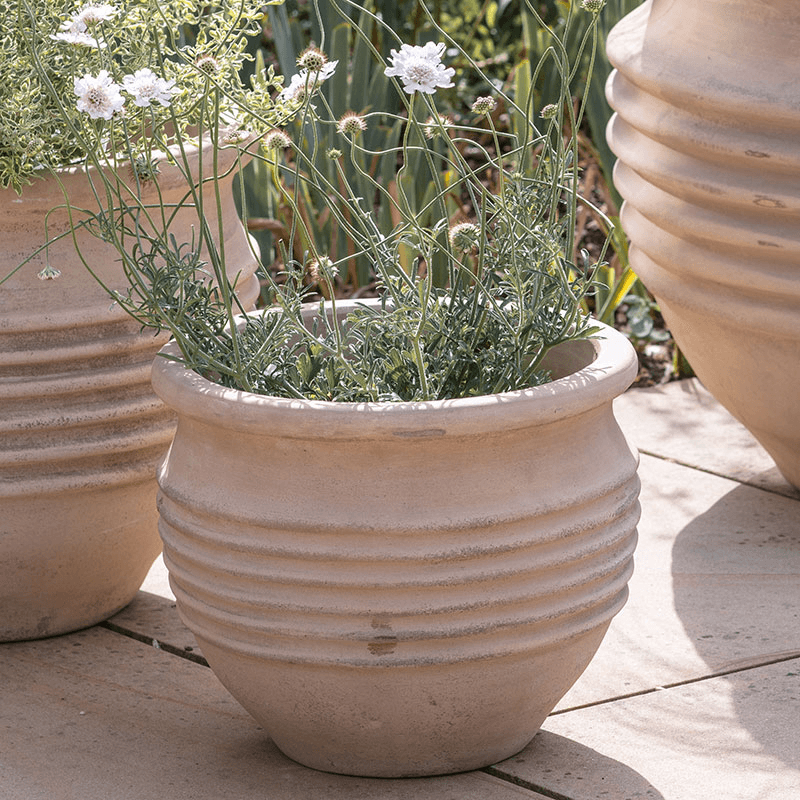 Ullu Planter