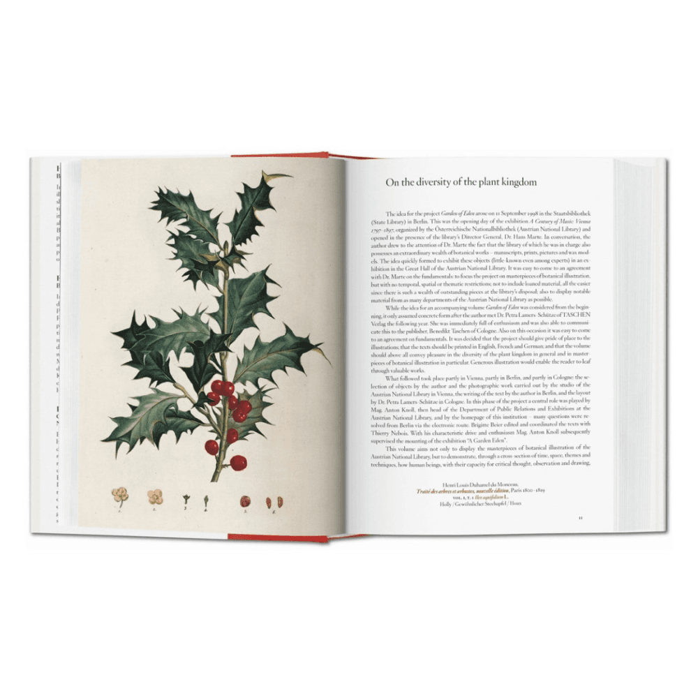 A Garden Eden: Masterpieces of Botanical Illustration
