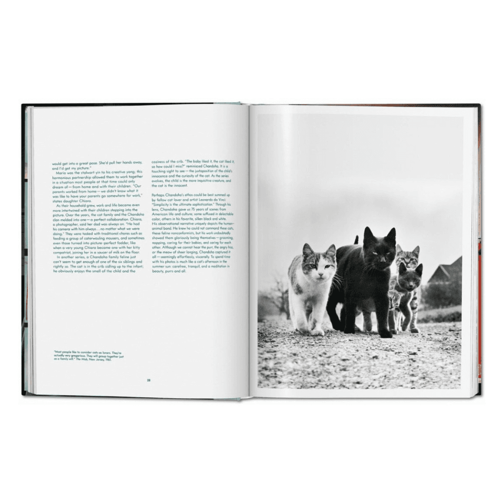 Walter Chandoha: Cats, Photographs 1942-2018
