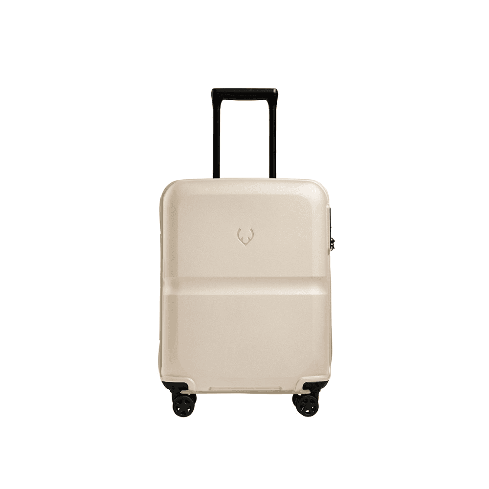 Single Stripe Cabin Suitcase