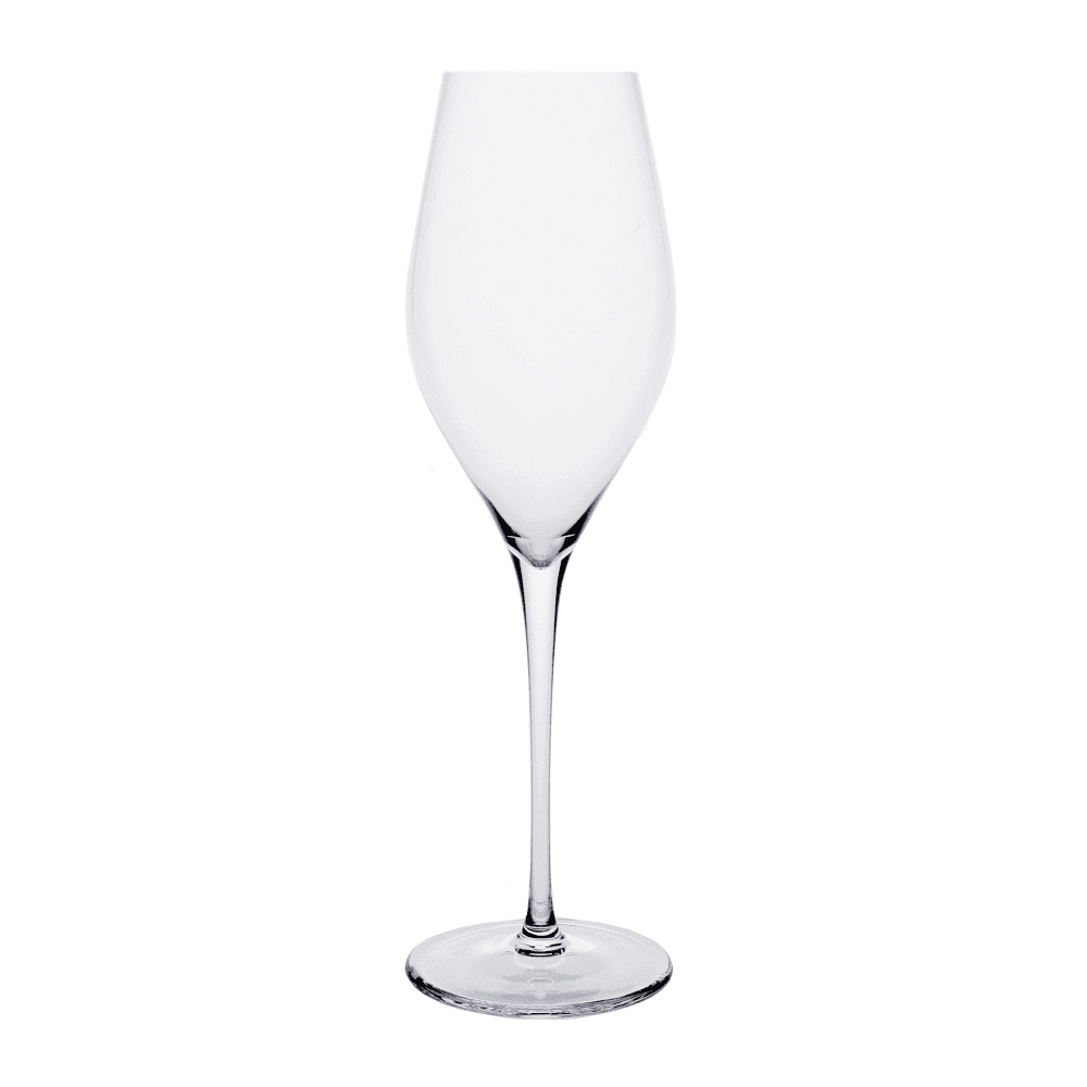 Lansdowne Champagne glass, Clear