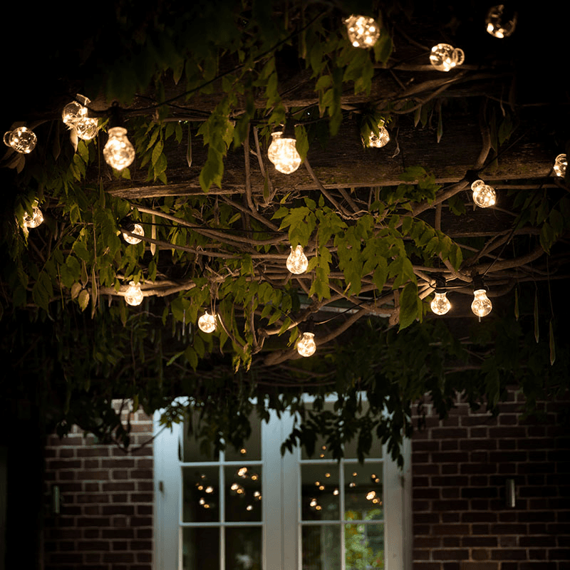 Festoon Lights, Black