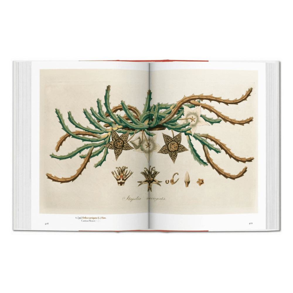 A Garden Eden: Masterpieces of Botanical Illustration