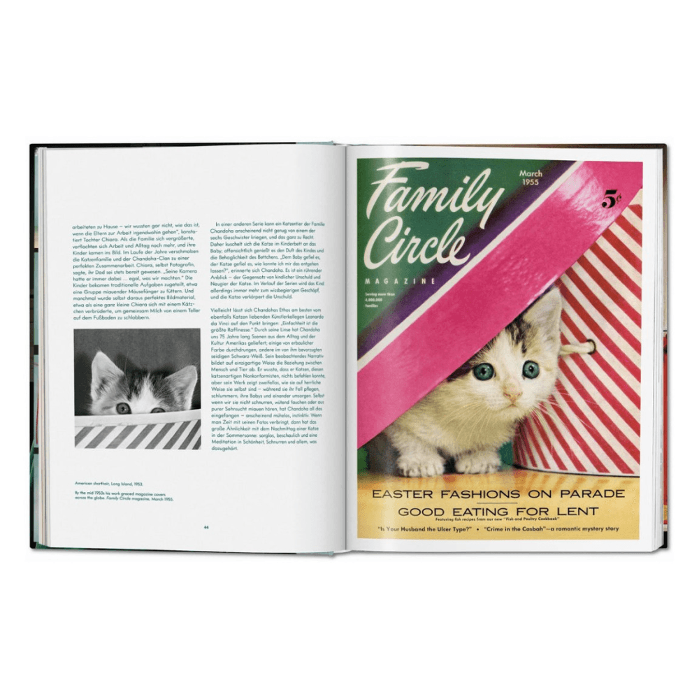 Walter Chandoha: Cats, Photographs 1942-2018