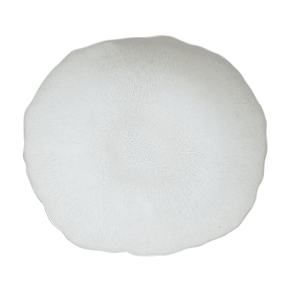 Plume Pair of dinner plates