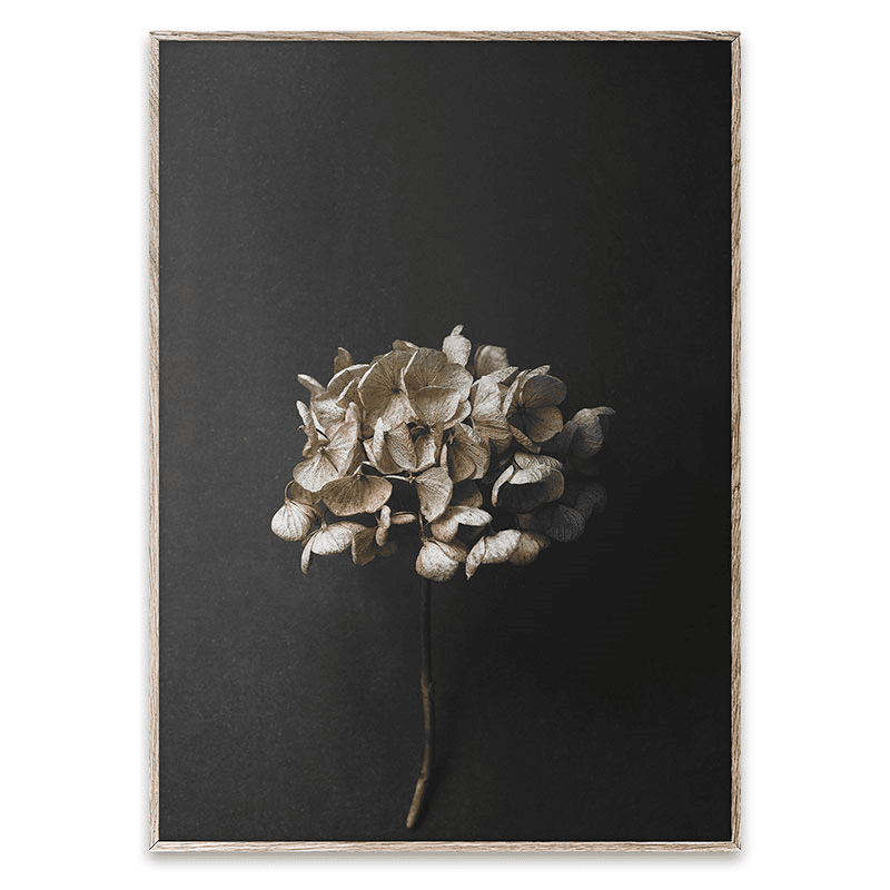 Still Life 04 Art Print