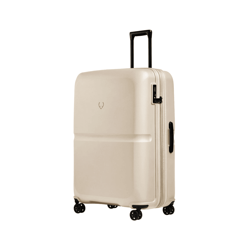 Single Stripe Expandable Suitcase
