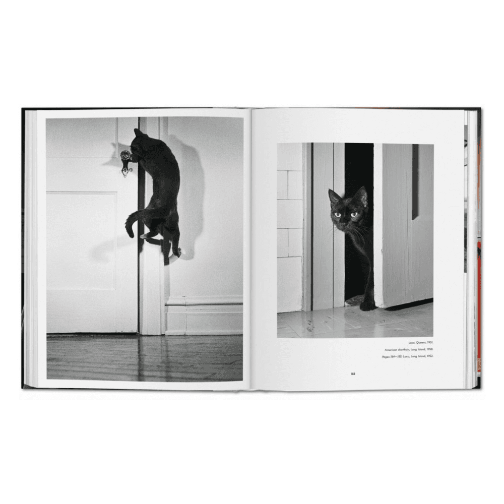 Walter Chandoha: Cats, Photographs 1942-2018