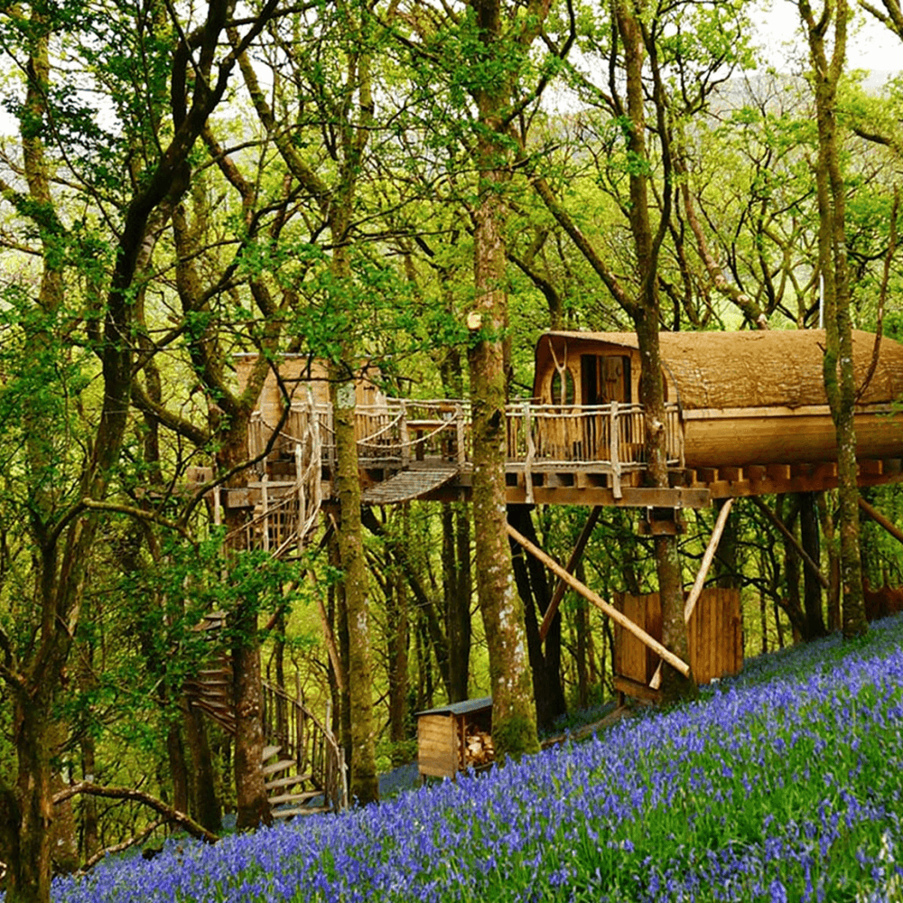 Two Night Treehouse Experience for Two